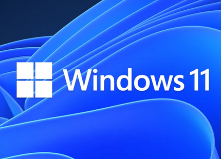 Windows 11