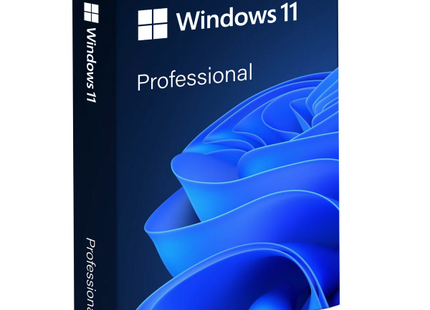Windows 11 Professional