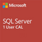 SQL Server Standard