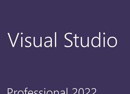 Visual Studio 2022 Professional