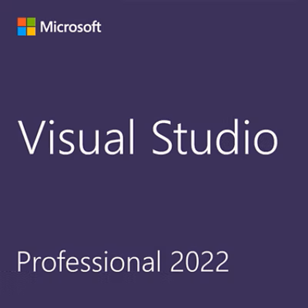 Visual Studio 2022 Professional