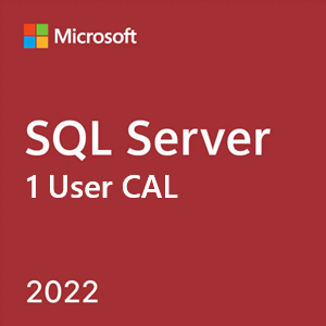 SQL Server 2022 1 User CAL